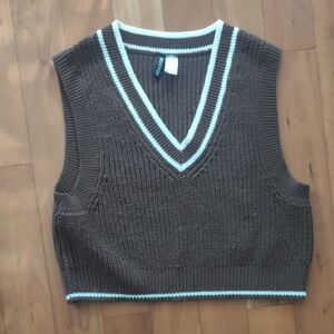 Cider Brown V-Neck Sweater Vest